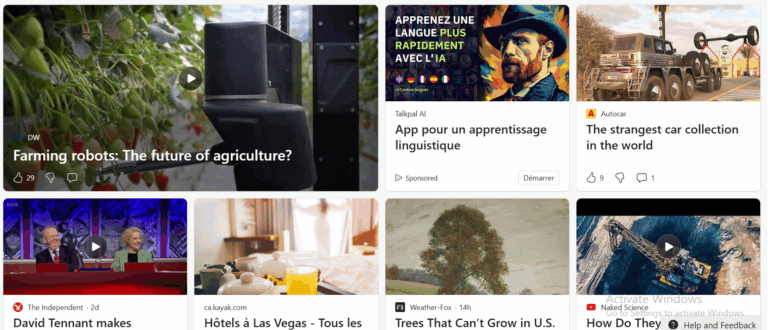 I will be talking to the main pain. What does Lorem ipsum dolor mean?